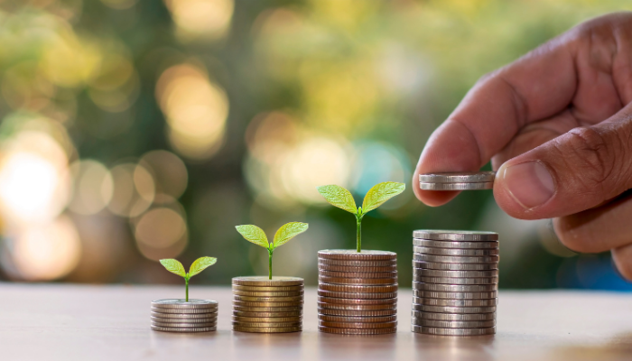 Metas a nivel financiero Para el Desarrollo Personal